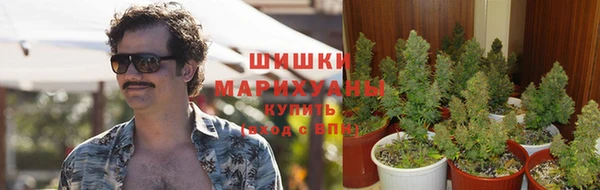индика Болотное