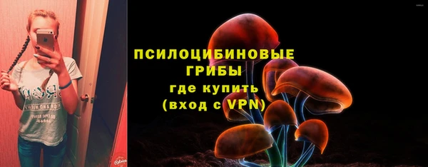 прущий лед Болхов
