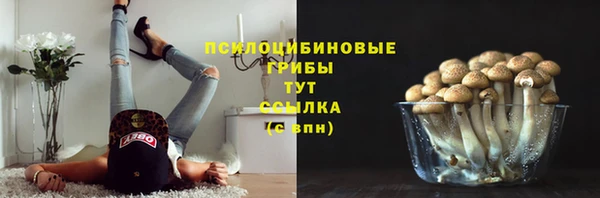 гидропоника Нея