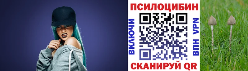 Псилоцибиновые грибы Cubensis  продажа наркотиков  Шумерля 