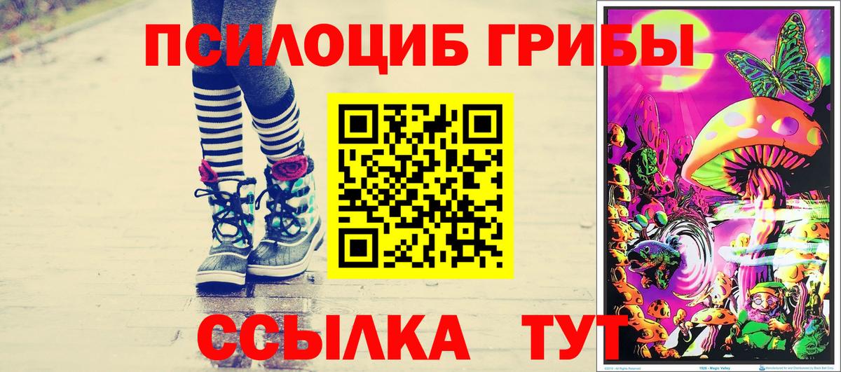 Псилоцибиновые грибы GOLDEN TEACHER  Вход с VPN  Шумерля  Галлюциногенные грибы мухоморы 