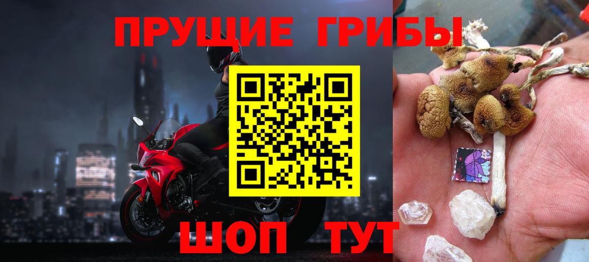 Псилоцибиновые грибы мухоморы Шумерля